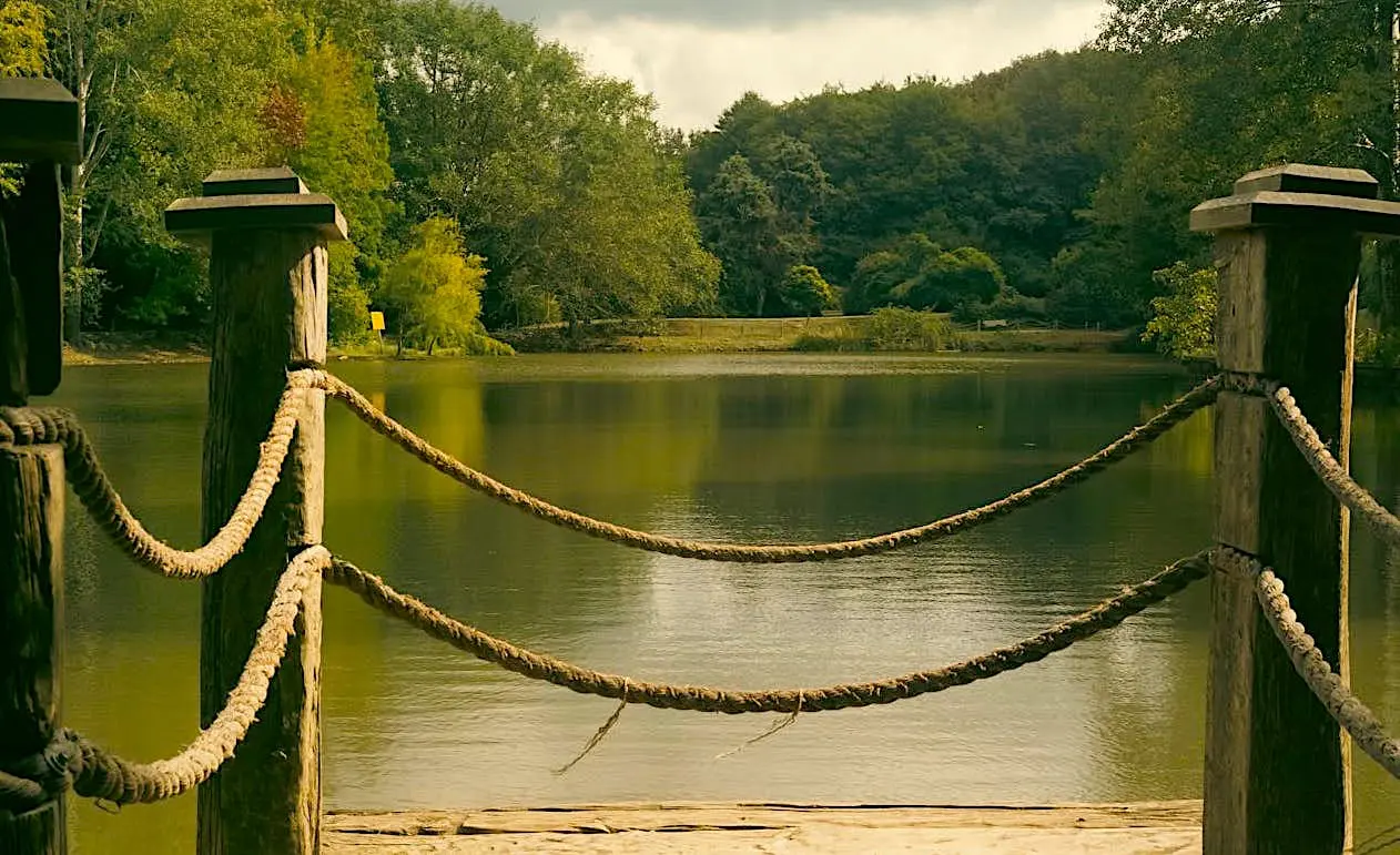 Belgrad Forest Istanbul